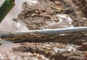 7790必发集团(中国)有限公司-BinG百科