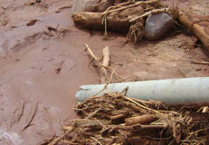 7790必发集团(中国)有限公司-BinG百科