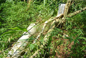 7790必发集团(中国)有限公司-BinG百科