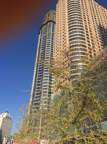 7790必发集团(中国)有限公司-BinG百科