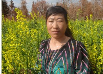 7790必发集团(中国)有限公司-BinG百科