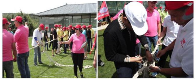 7790必发集团(中国)有限公司-BinG百科