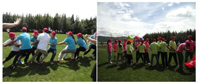 7790必发集团(中国)有限公司-BinG百科