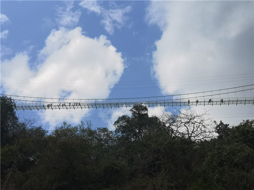 7790必发集团(中国)有限公司-BinG百科