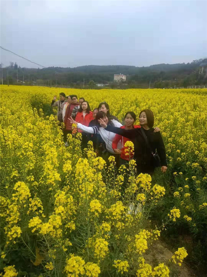 7790必发集团(中国)有限公司-BinG百科