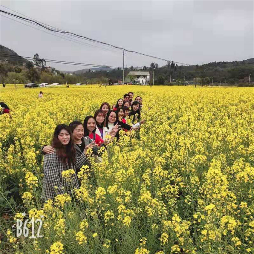 7790必发集团(中国)有限公司-BinG百科