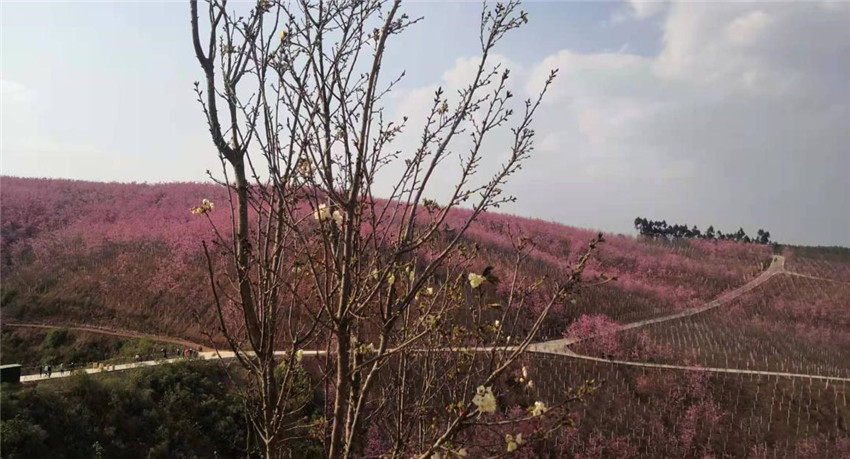 7790必发集团(中国)有限公司-BinG百科