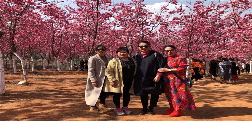 7790必发集团(中国)有限公司-BinG百科