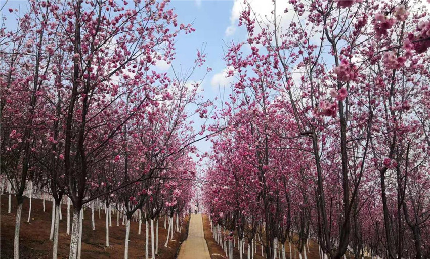 7790必发集团(中国)有限公司-BinG百科